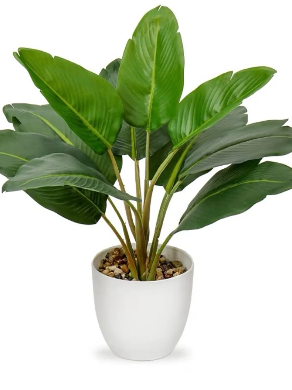 Fake Bird of Paradise Palm Plant 15 inch